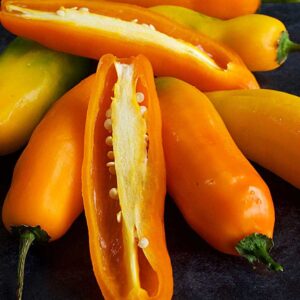 AJI AMARILLO