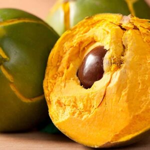 LUCUMA