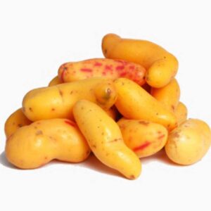 OLLUCO