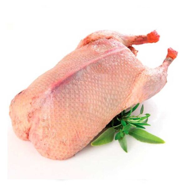 PATO ENTERO CONGELADO X KILO