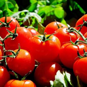 TOMATE