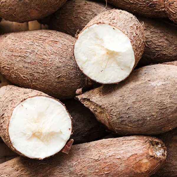 YUCA