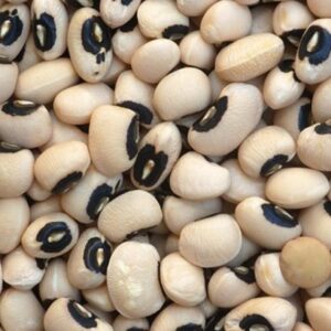 FRIJOL CASTILLA
