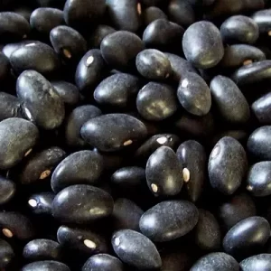 FRIJOL NEGRO