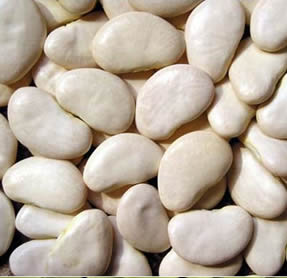 PALLAR BLANCO