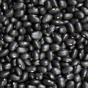 FRIJOL ÑUÑA NEGRA