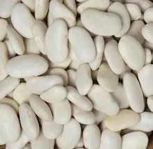 HABAS BLANCAS