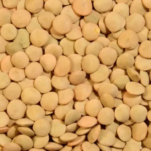 LENTEJA RICHLEA